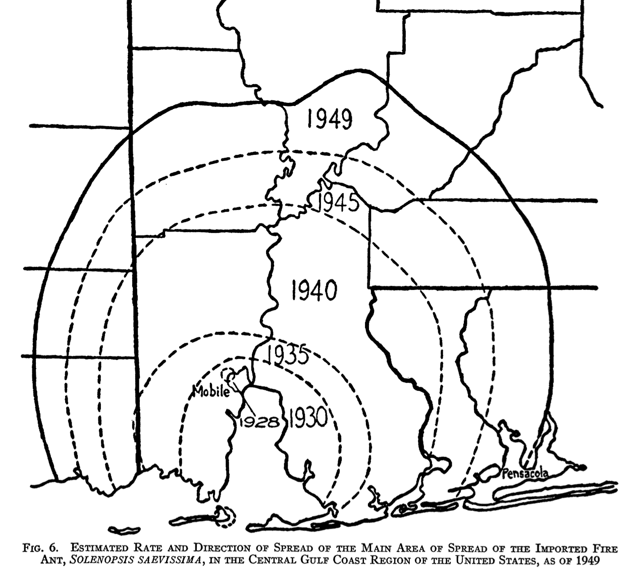 Fire ant initial invasion area from 1928-1949