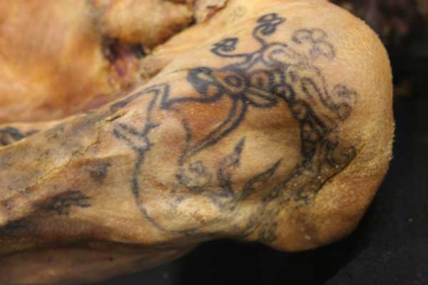 A red deer tattoo motif on a mummy shoulder