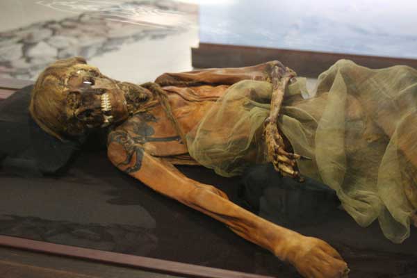 The upper body of a mummy with a drape of green fabric