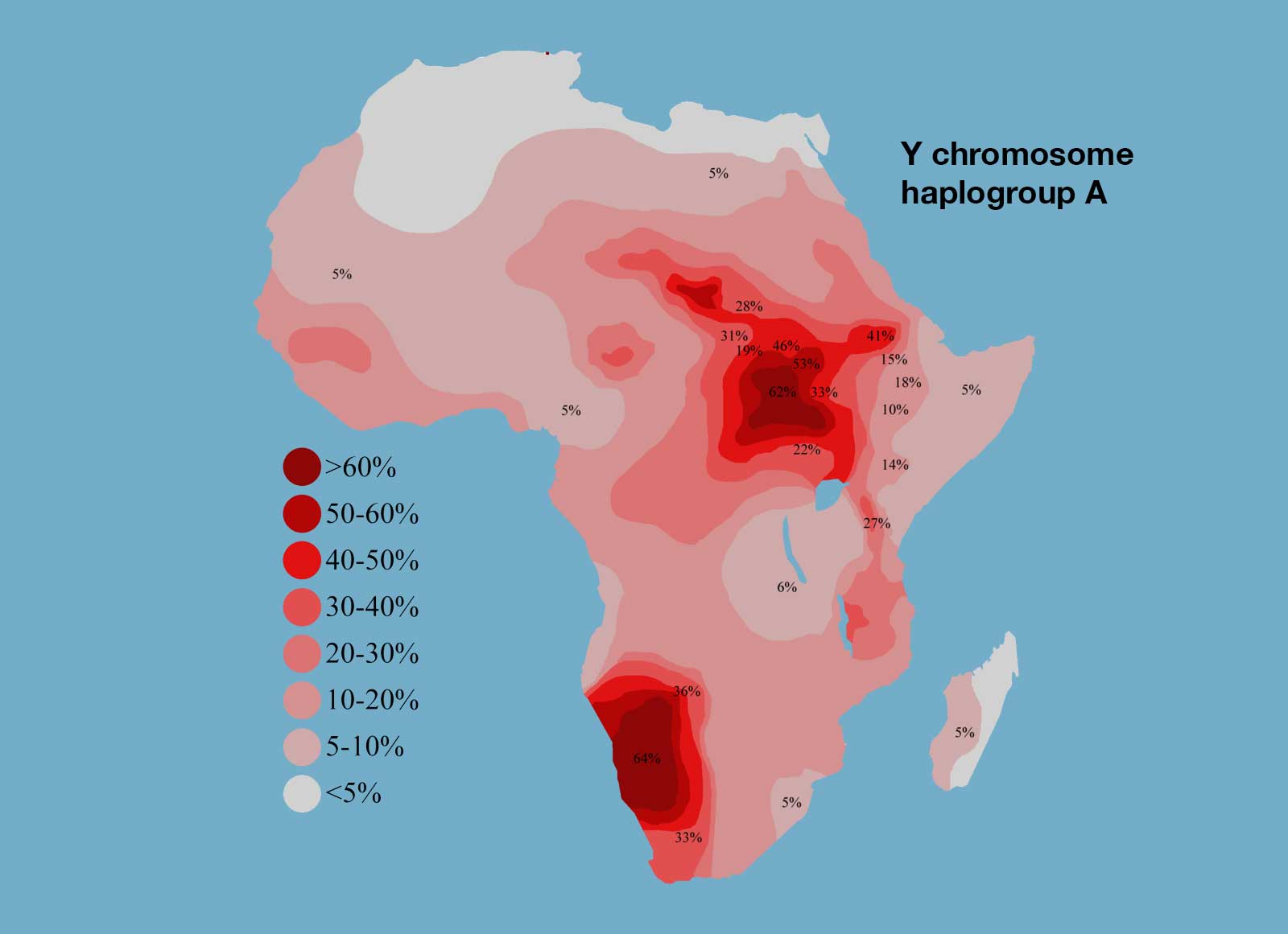 How much do Y chromosome haplogroups shape our views of modern