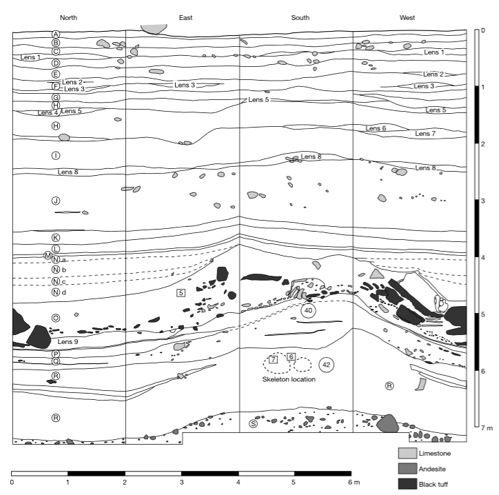 Liang Bua stratigraphy Morwood et al. 2004