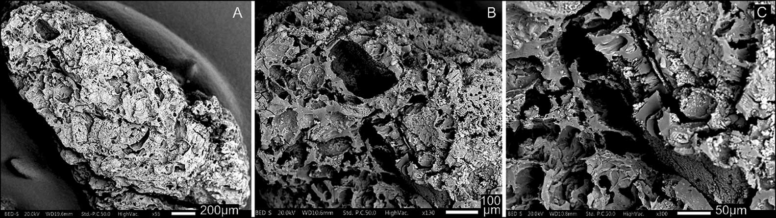Three panels showing different magnification micrographs of charred mixture