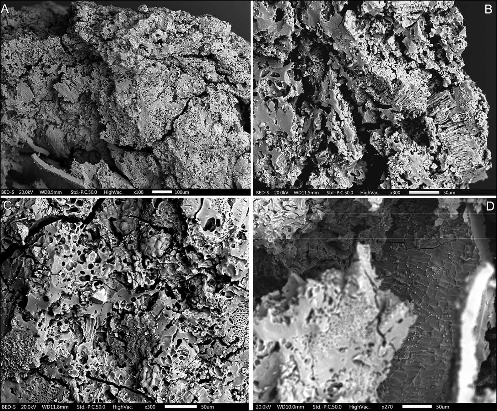 Four panels showing micrographs of chunky food stuff