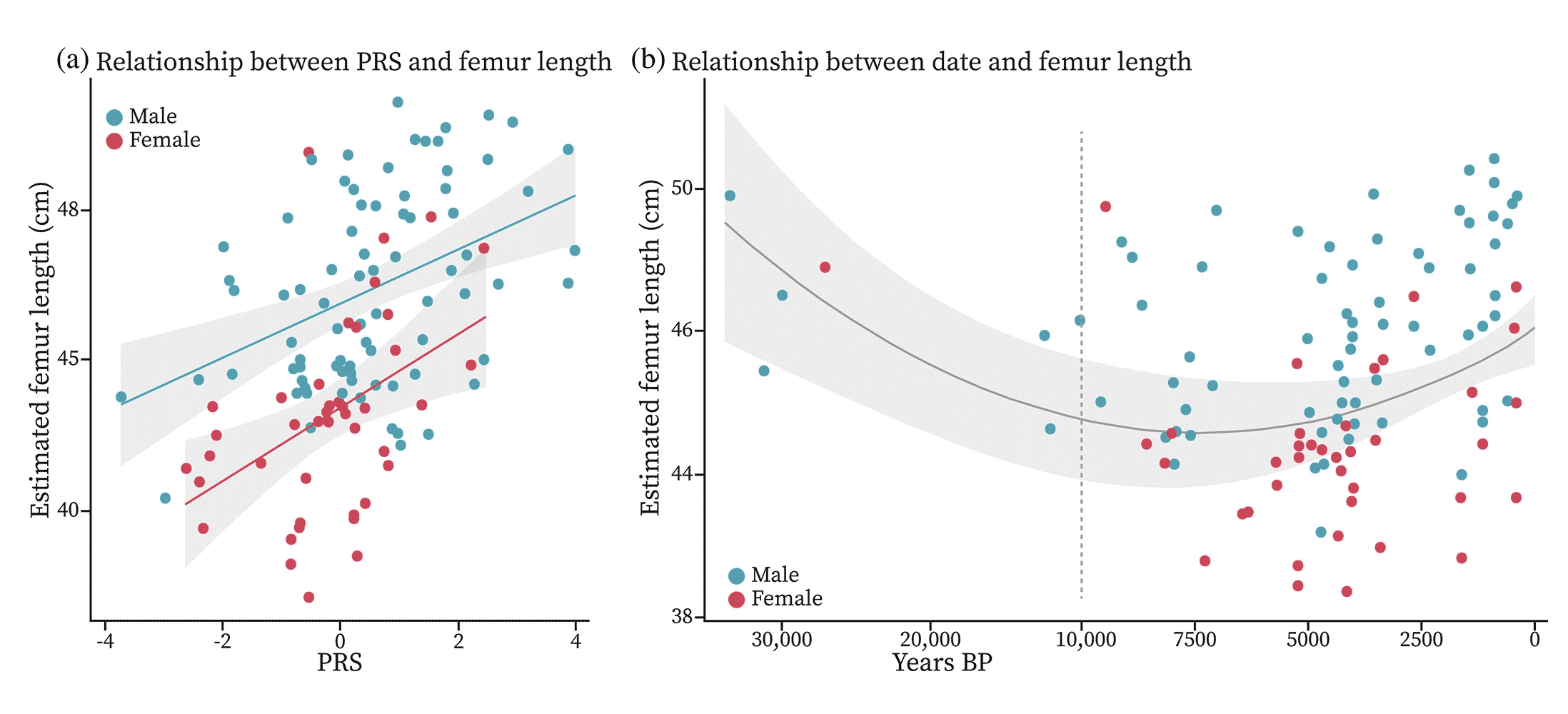 Two panels; left has an increasing relationship of PRS score and Estimated Femur Length; the right has a curvilinear relationship of femur length and date.