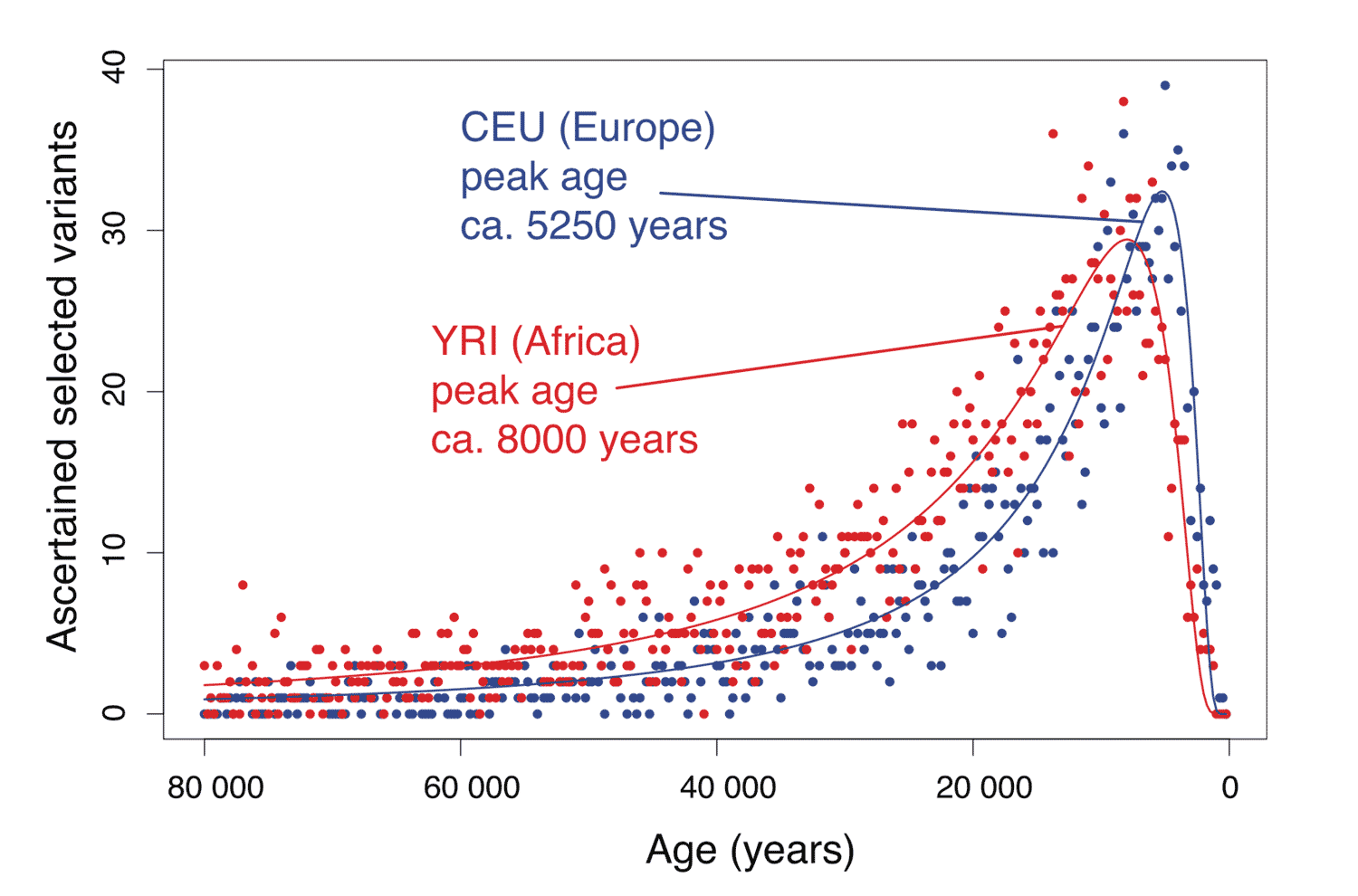 Two histograms overlapping, showing that European ancestry HapMap individuals have a peak in ascertained selected variants around 5250 years in the past; Yoruba individuals around 8000 years in the past.