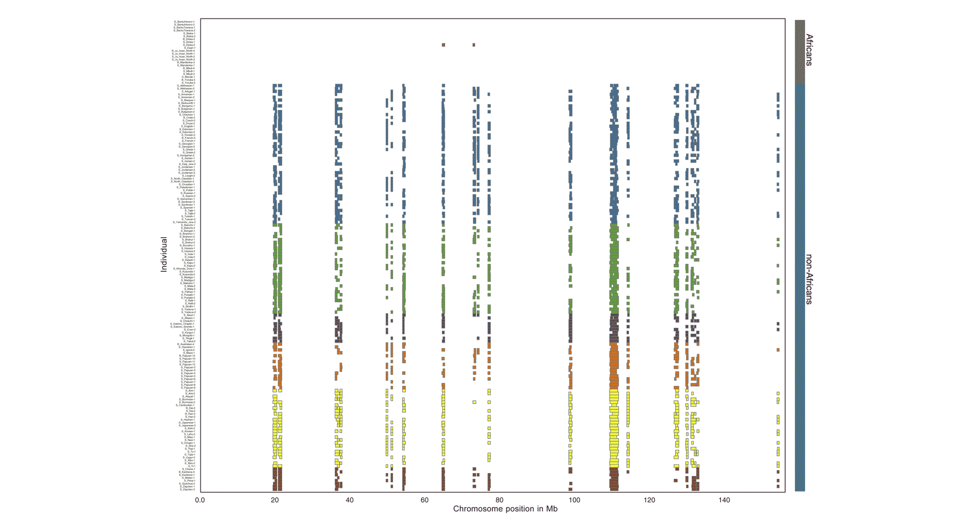 A matrix showing extended haplotypes in samples of individuals against chromosome position