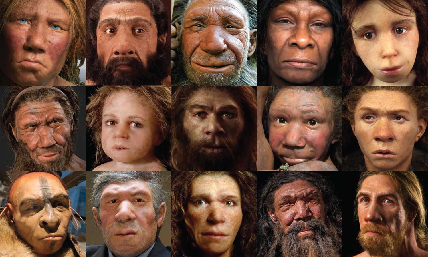 Dutch Neanderthal's Face Revealed
