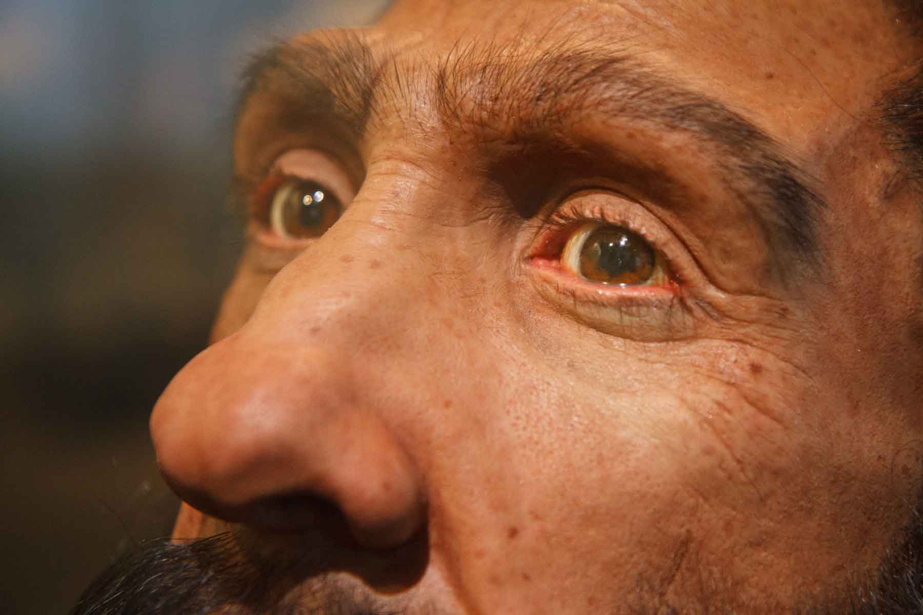 A closeup view of a Neandertal's face with light pigment and brown eyes and hair