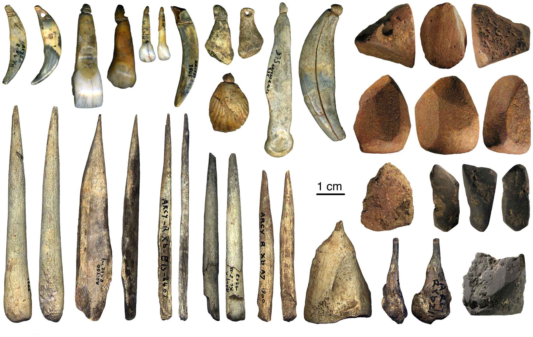A large number of tooth pendants, bone points, and pigment lumps