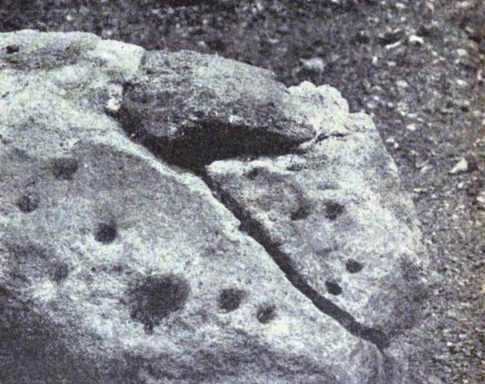 Black-and-white image of a rock with a crack across the center and five pairs of small cup-shaped depressions