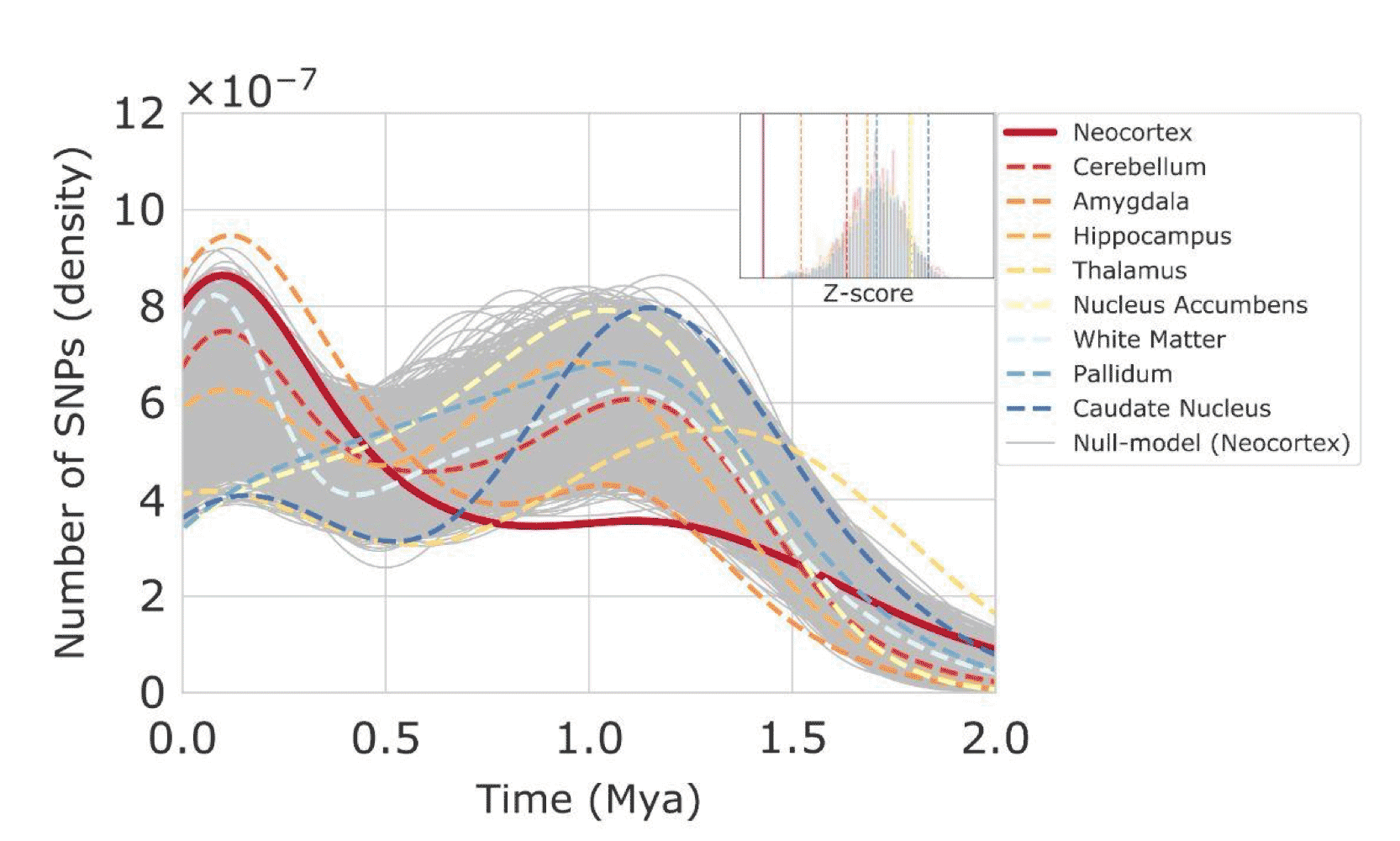 Figure from Libedinsky and coworkers 2023 showing that SNPs associated with variation in different brain areas have different age distributions