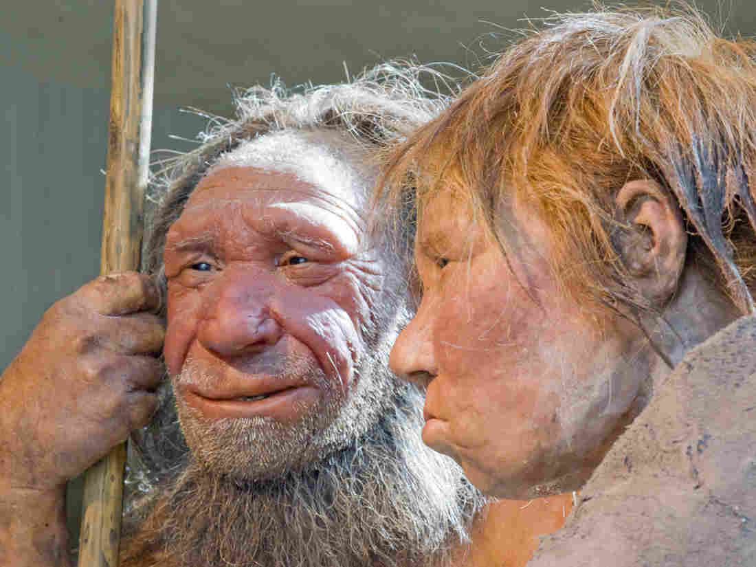 Two Neandertals