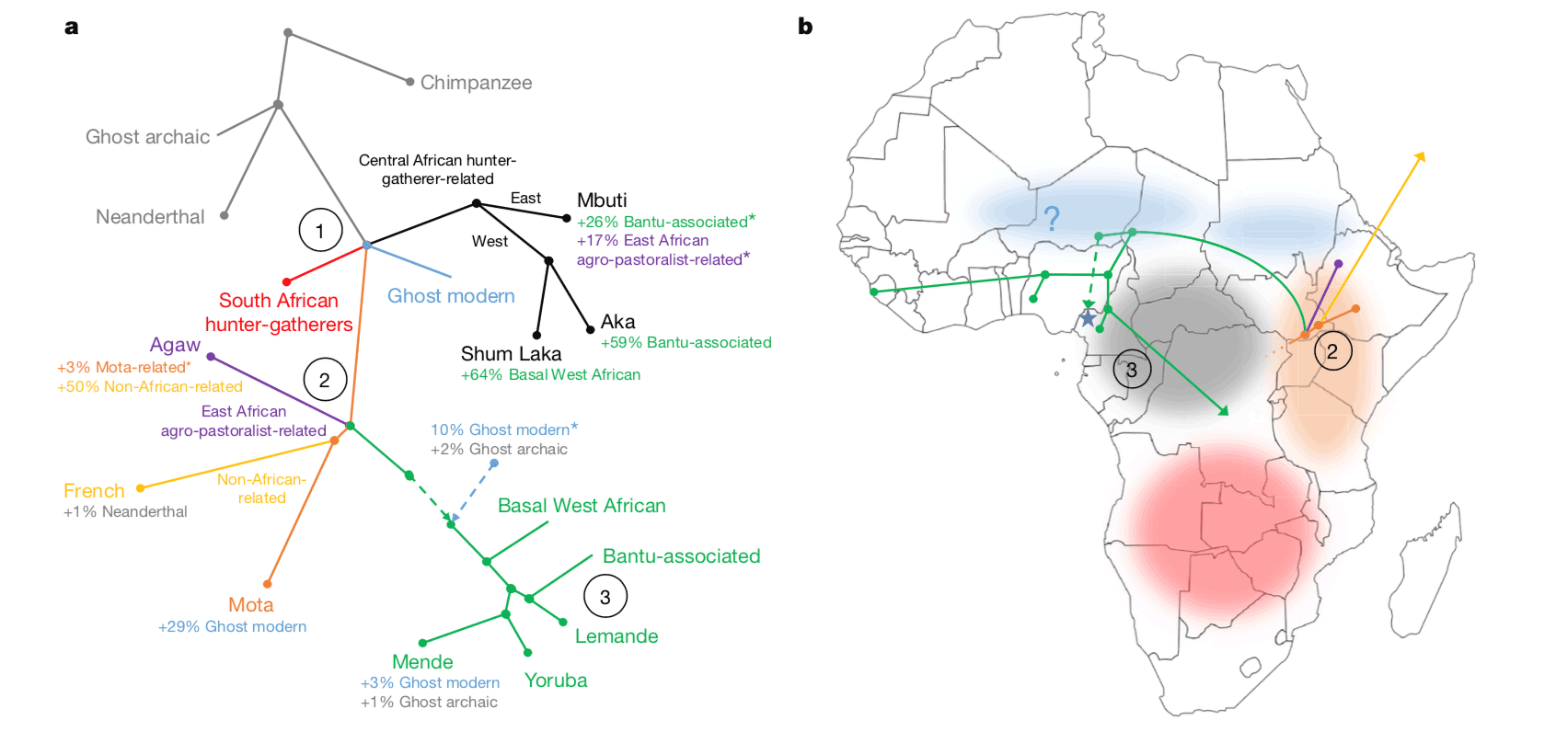 Left panel is a population tree connecting African groups and ancient DNA, right is a map of Africa with color blobs representing possible homelands of varied groups.