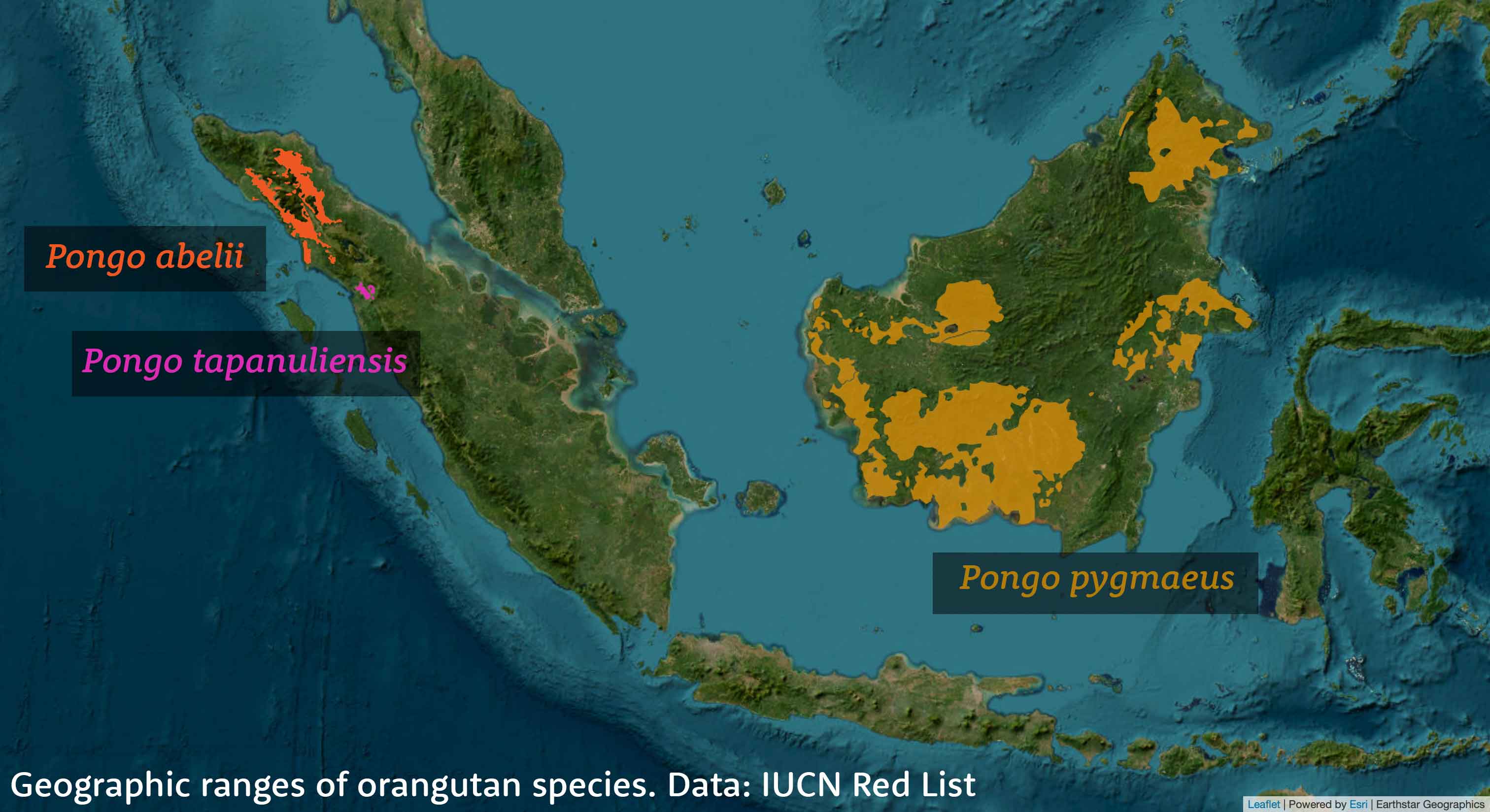 Map of Indonesia showing geographic range of orangutan populations on Sumatra and Borneo