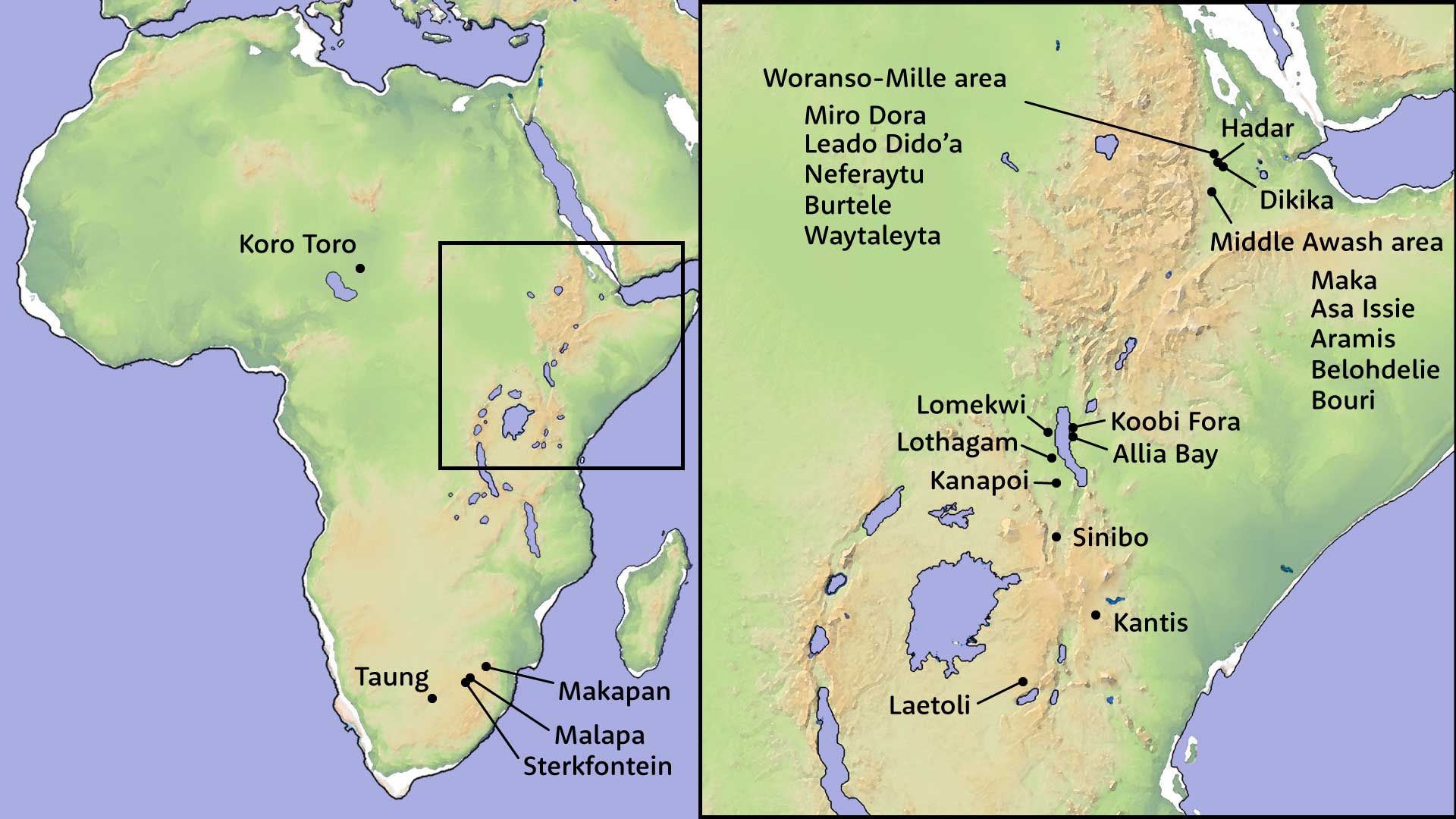Map of Africa indicating sites, with inset showing northeast Africa sites at larger scale.