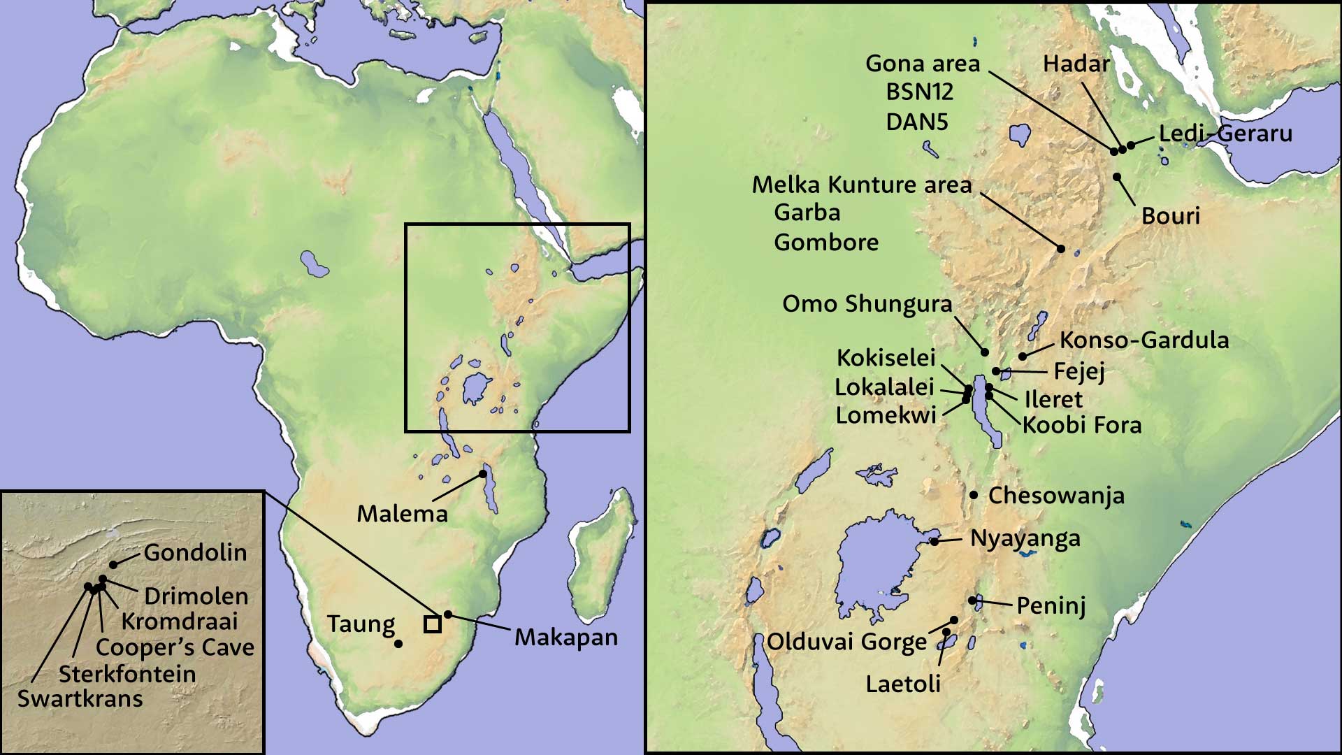 Map of Africa with insets of the East African Rift System and Cradle of Humankind area of South Africa, with sites labeled