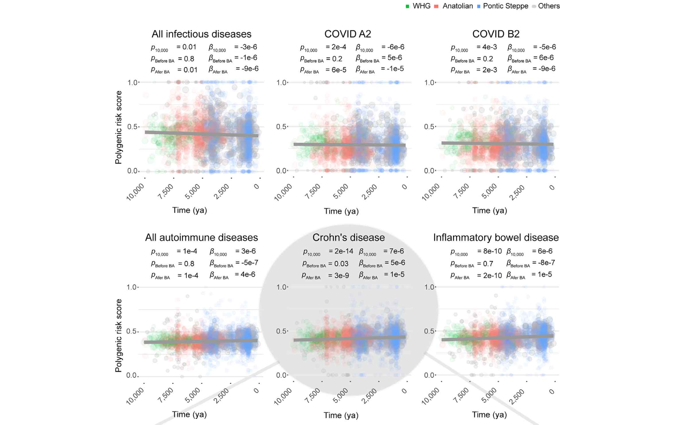 Six graphs showing polygenic risk score of ancient individuals across the last 10,000 years. From top left, the graphs show all infectious diseases, COVID A2, COVID B2, all autoimmune diseases, Crohn's disease, and inflammatory bowel disease. 