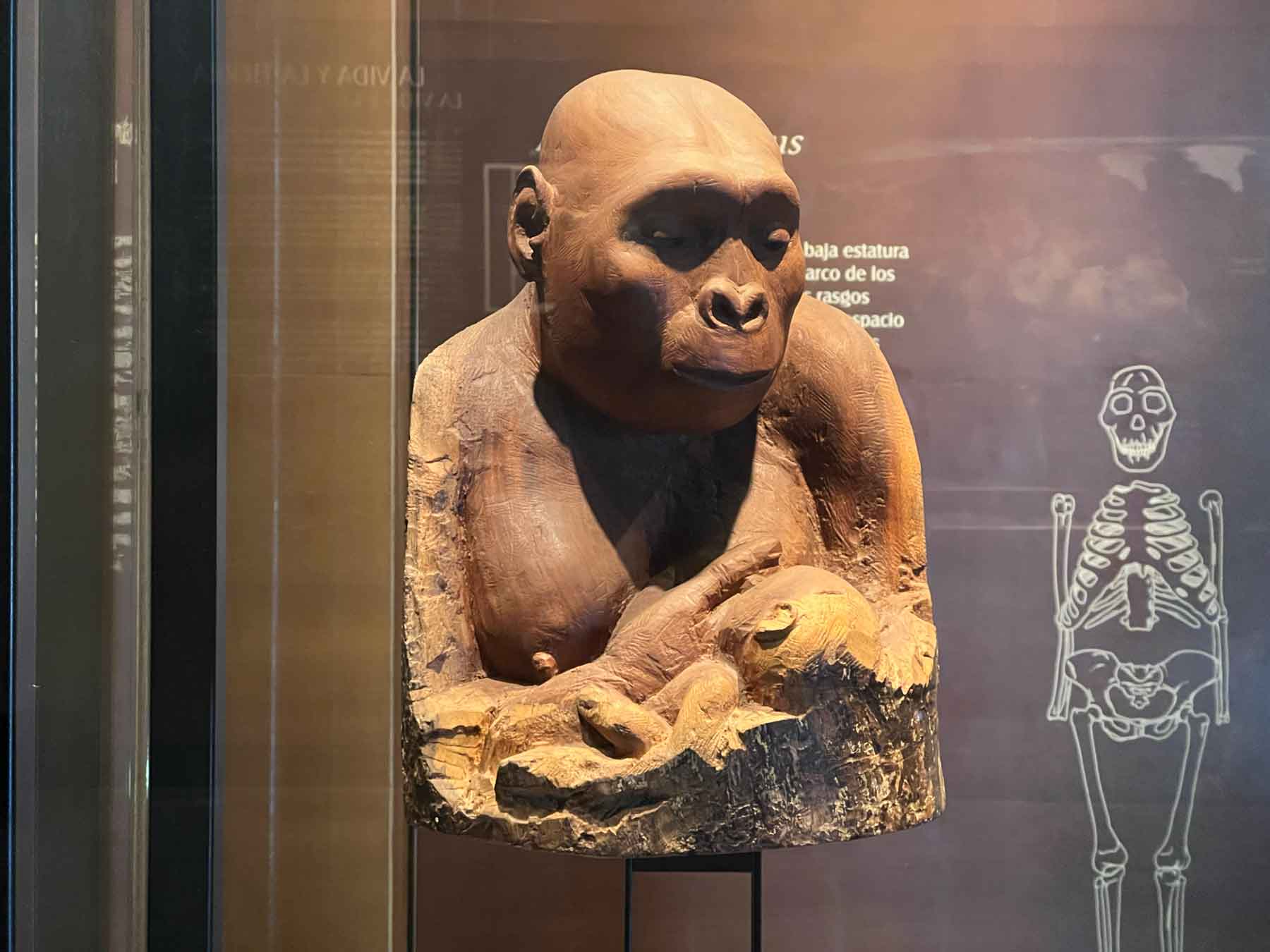 Wooden sculpted bust of Australopithecus afarensis breastfeeding an infant, with diagram of Lucy skeleton in background