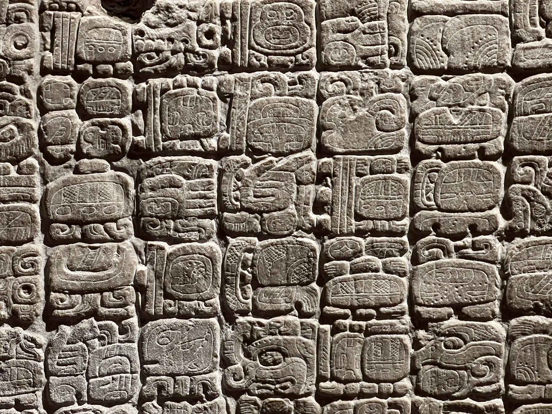 Maya glyphs, showing give rows of seven carved glyphs
