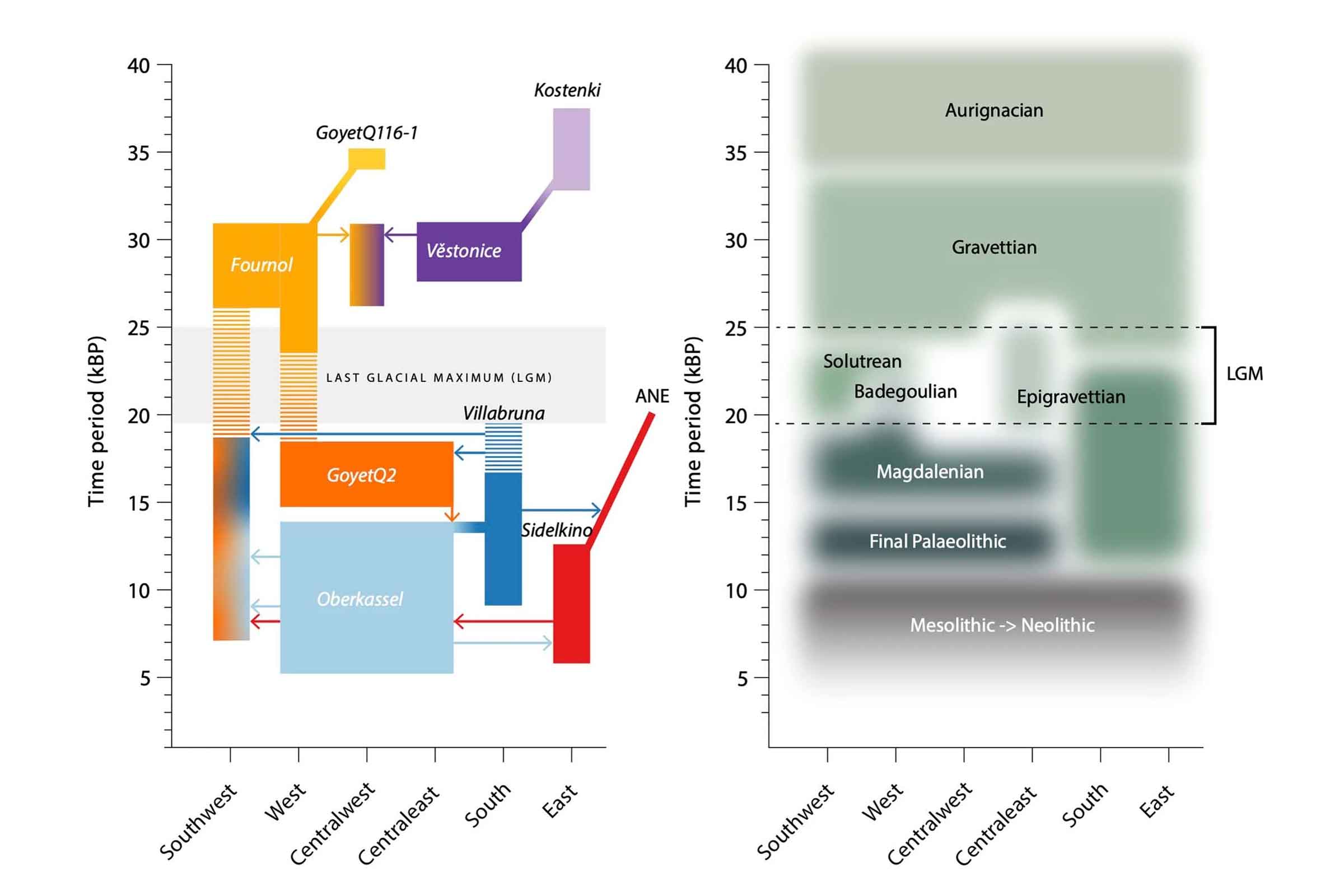 A panel at left showing genetic ancestry relationships over time, panel at right showing archaeological industries