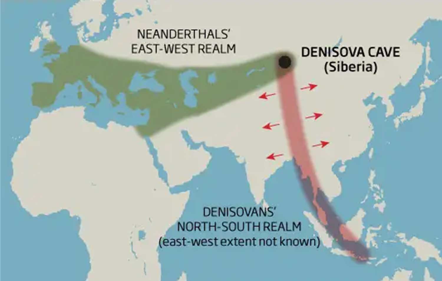 A map of Eurasia showing Neandertals' range in green stretching from Portugal to Denisova, and a red line connecting Denisova with Indonesia
