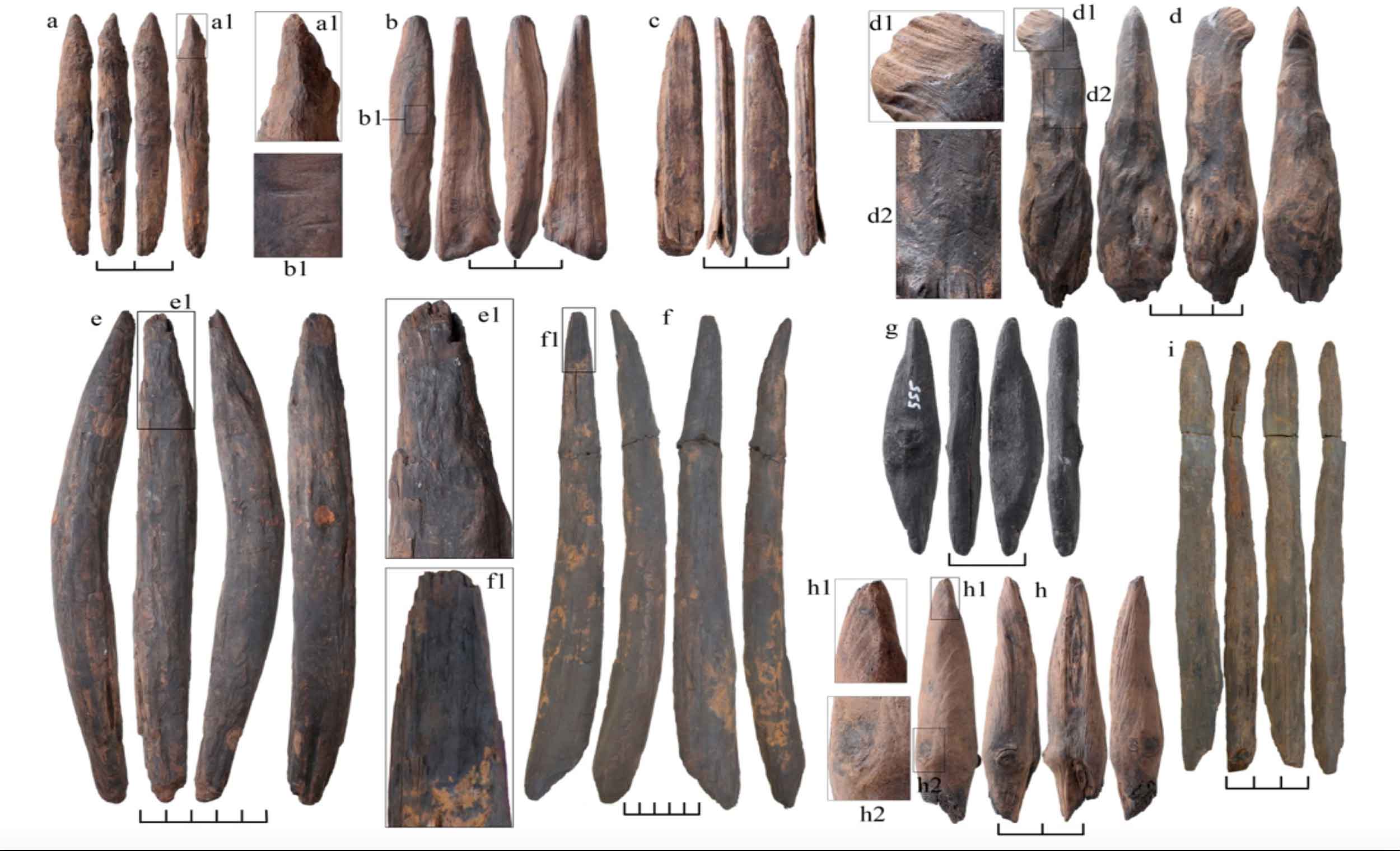 Eight wooden pointed artifacts shown in four views each, and additional closeup images of some of the points.