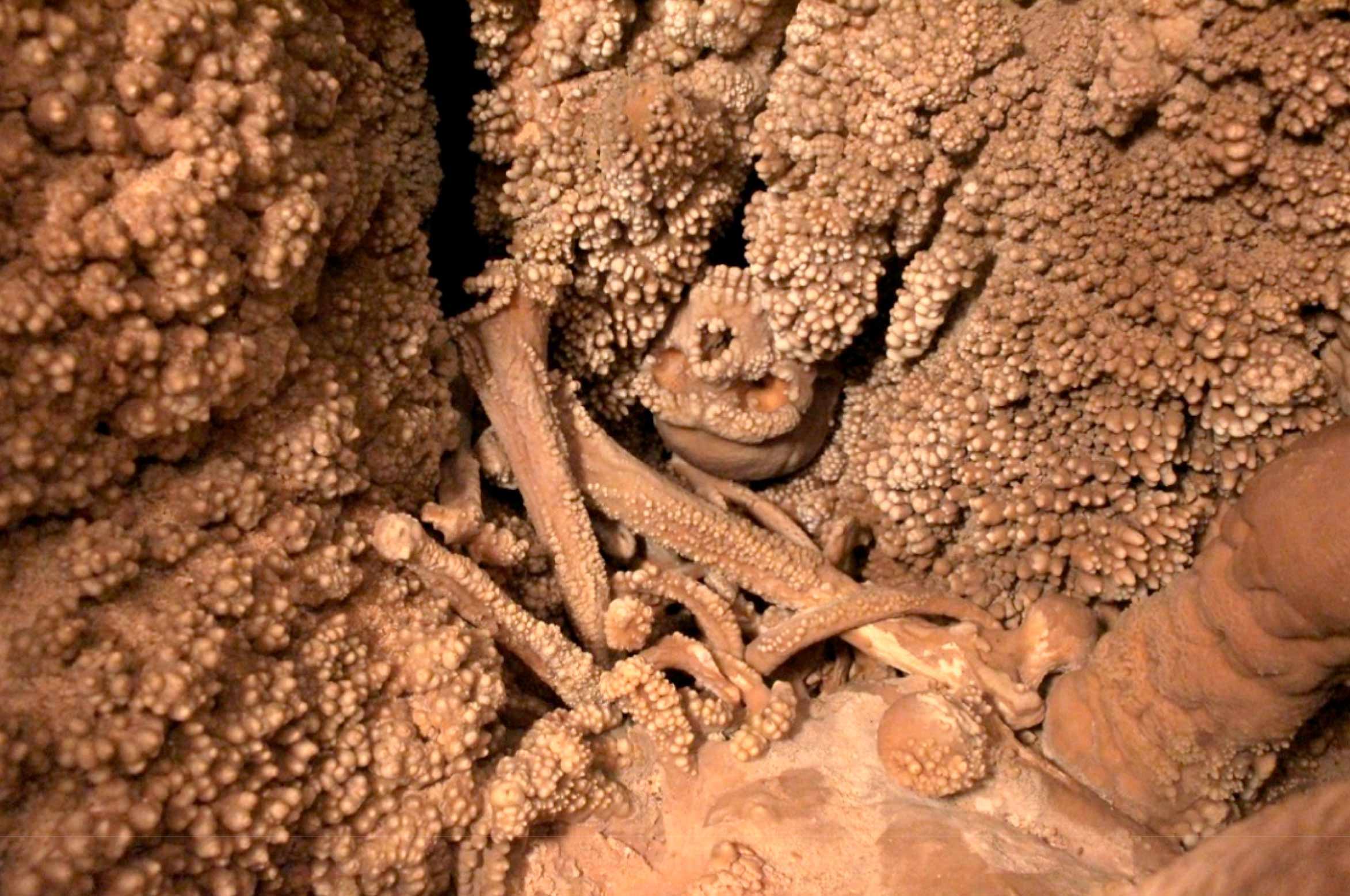 A look at the Neanderthal from Altamura