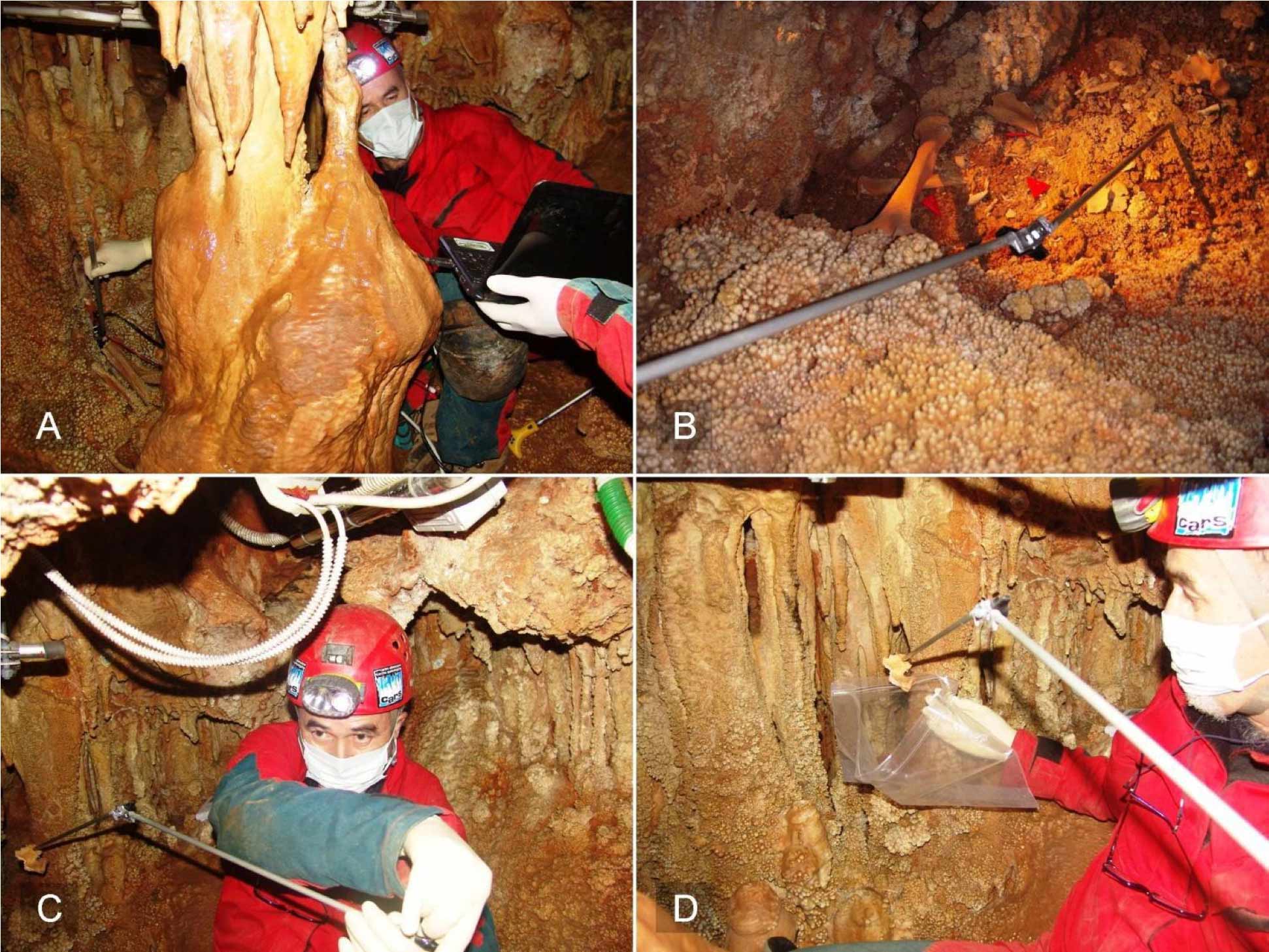 Four panels showing a researcher in cave gear reaching around a calcite curtain and into a deep cave area with hominin bones exposed, using a long pole attached to multiple joints.