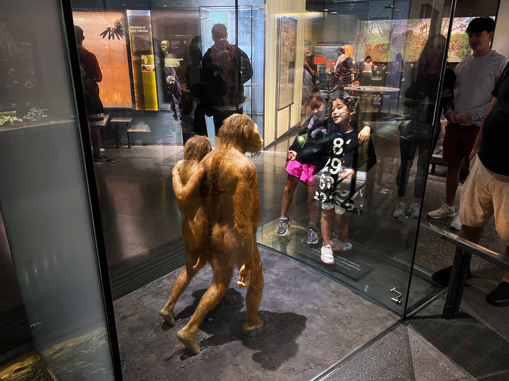 Two figures of Australopithecus walking in a museum diorama side by side, leaving footprints, with two children looking on mimicking their pose.