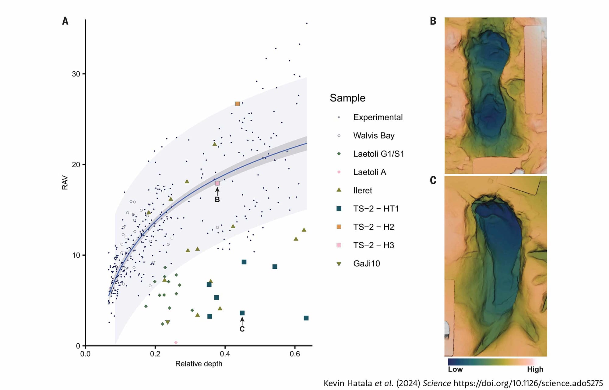 Scatterplot at left showing that relative arch volume increases with print depth for humans, but several fossil prints are below the human range. At right two prints showing different arch volumes