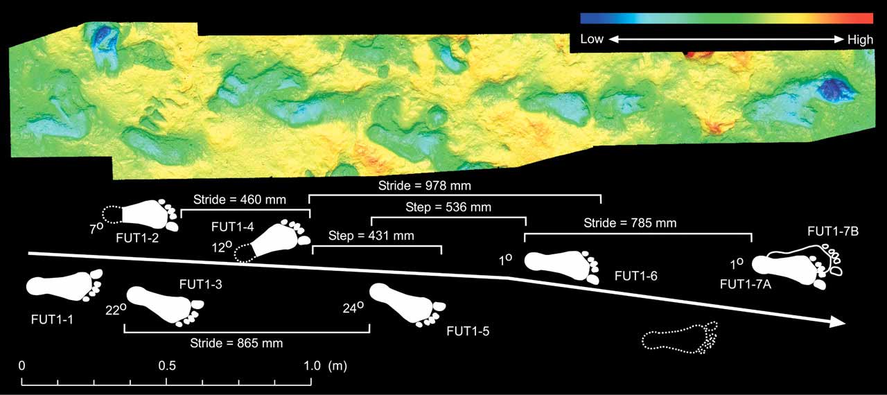 Color depth scan rendering of 8 footprints with a schematic below showing the footprints and step distances