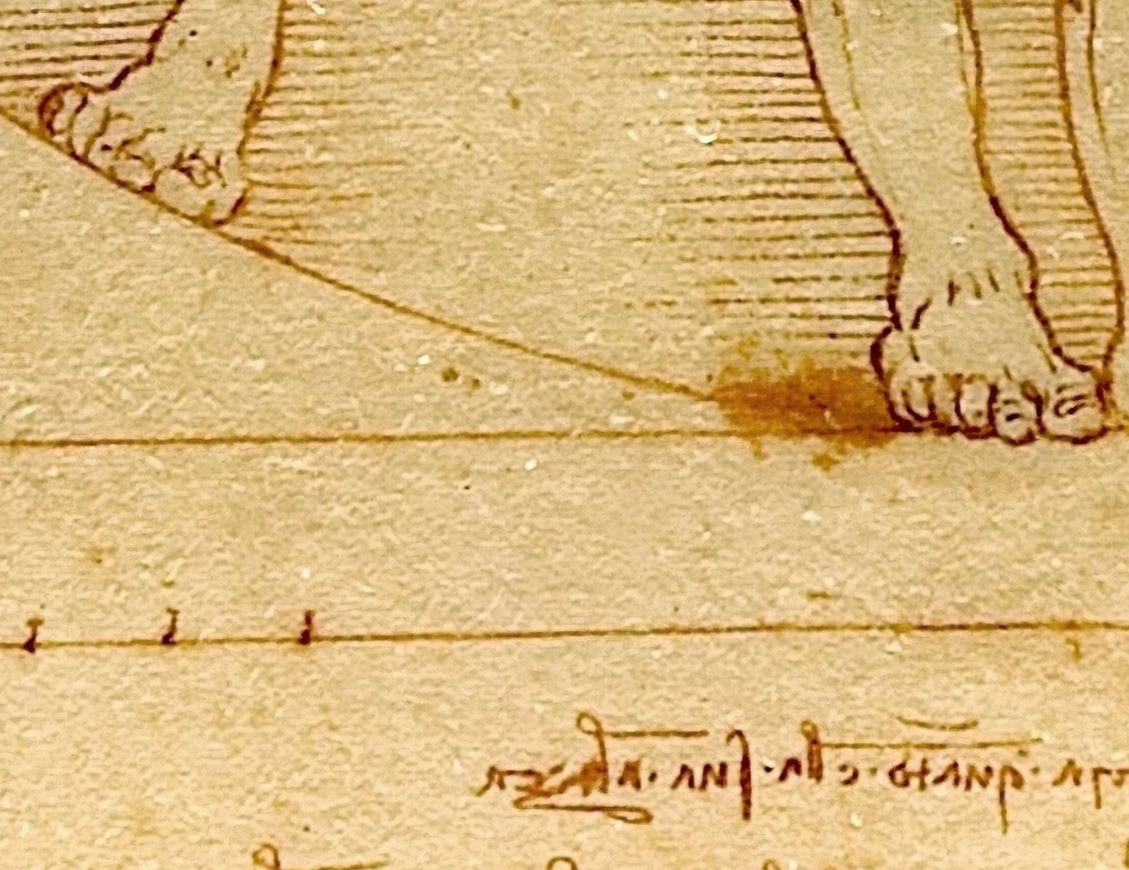 Detail of feet and underlying text of Vitruvian Man by Leonardo da Vinci