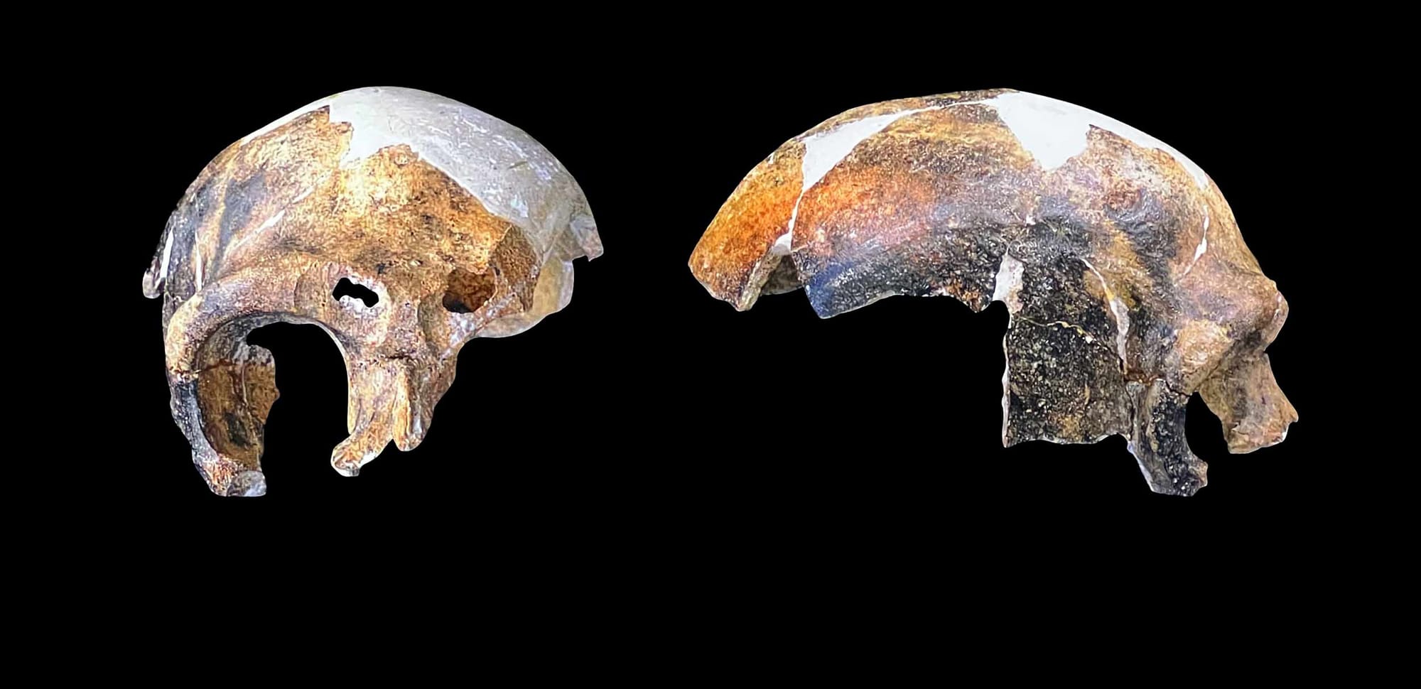 A look at the Maba hominin skull