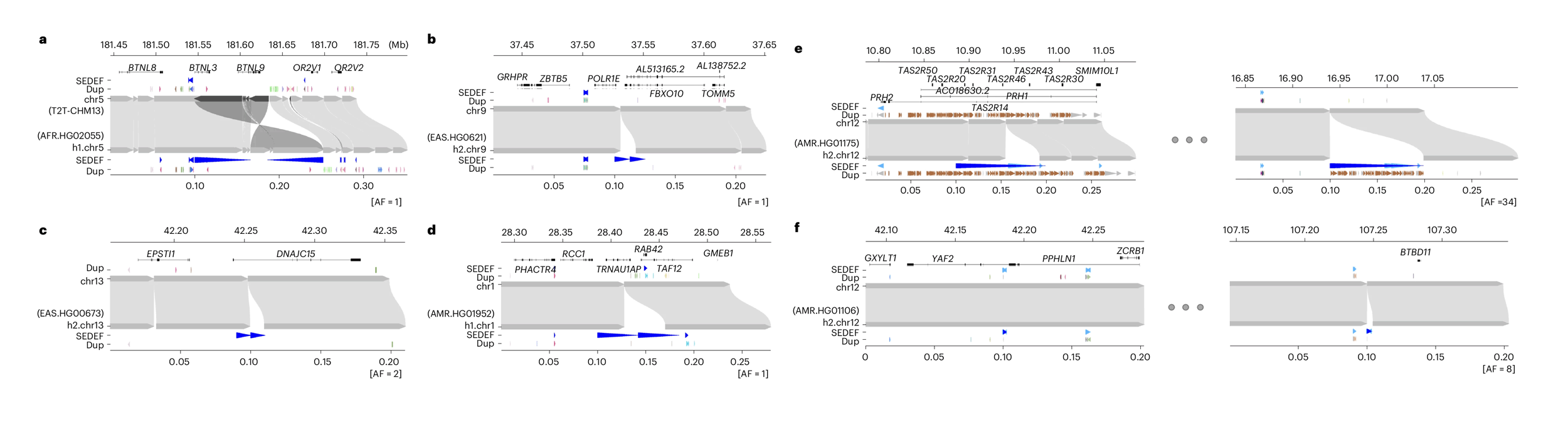 Eight maps with the reference sequence illustrated at the top, variant sequence at bottom, showing large pieces of DNA duplicated, inserted, or inverted