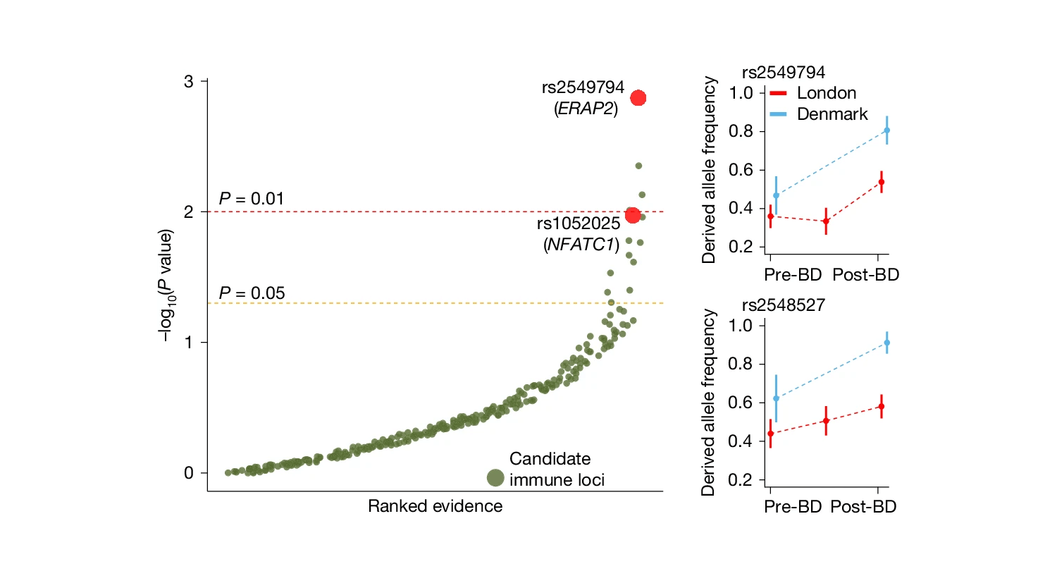 Three panels showing p-values for SNP frequency changes and the actual frequencies from ancient samples for two SNPs