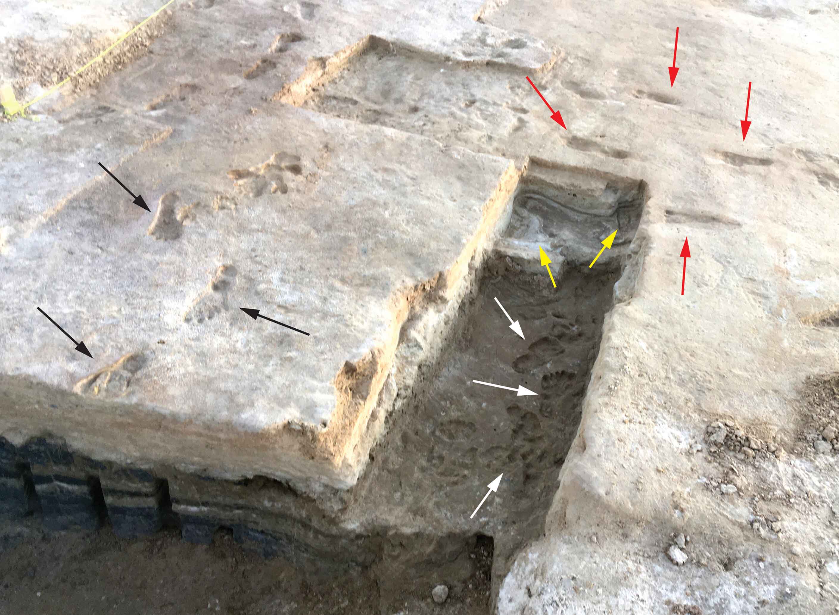 An excavation space showing trenches cut at right angles and footprints preserved in four different levels.