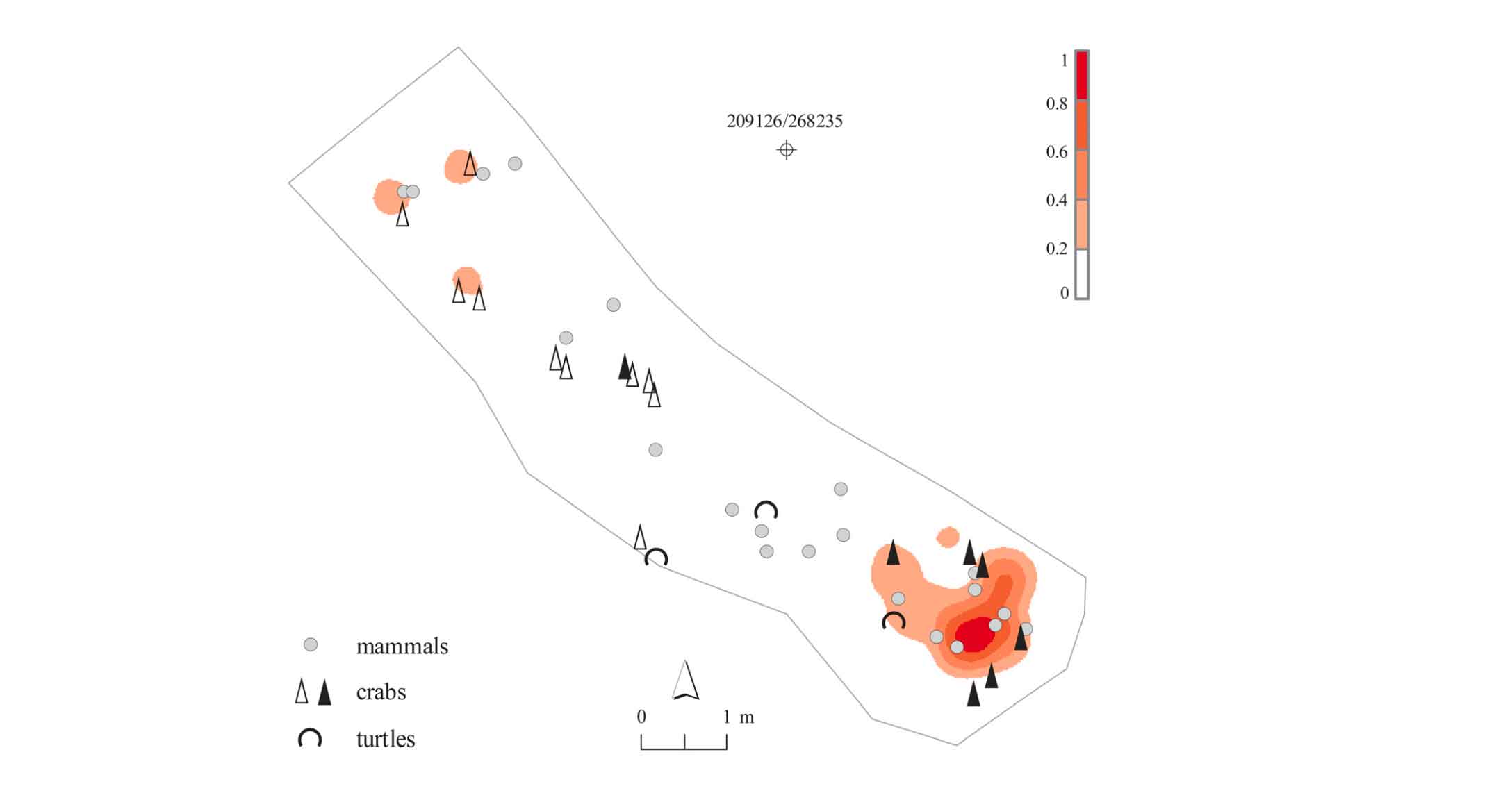 Map of site spanning approximately 12 meters showing locations of mammal, turtle, and crab reamins