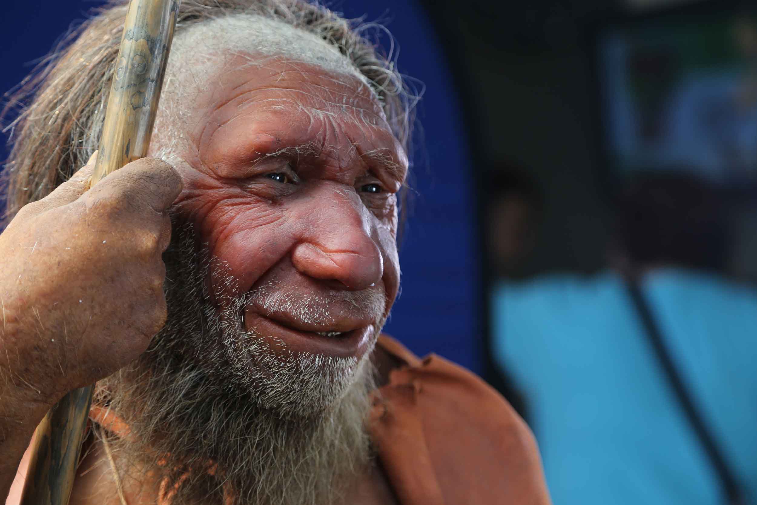 A Neandertal reconstruction showing face, hand, and spear