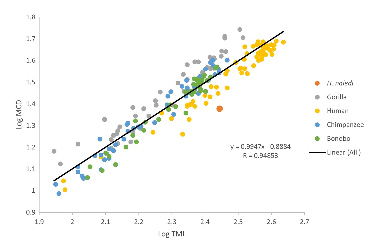 A scatterplot showing that medial condyle diameter of the tibia is related to tibia maximum length, with humans showing longer tibia length.