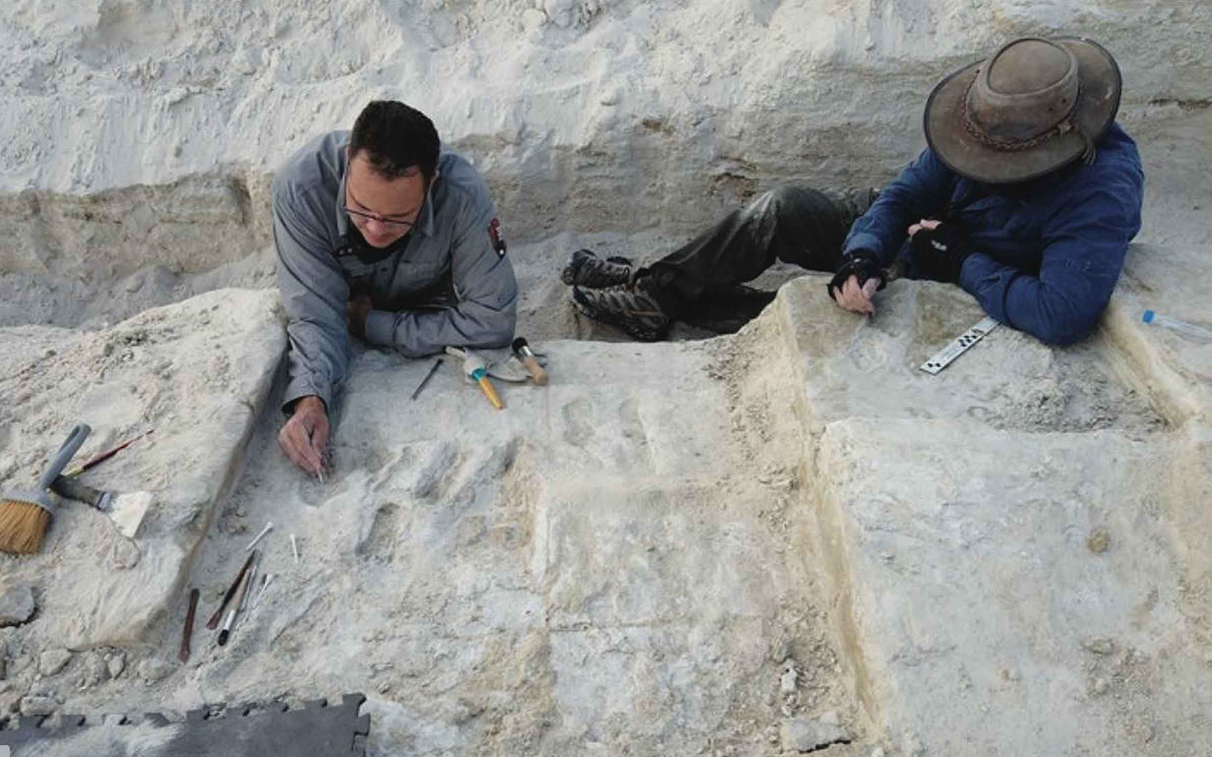 Two archaeologists sitting within a trench and working with toothpicks to clear sediment from footprints