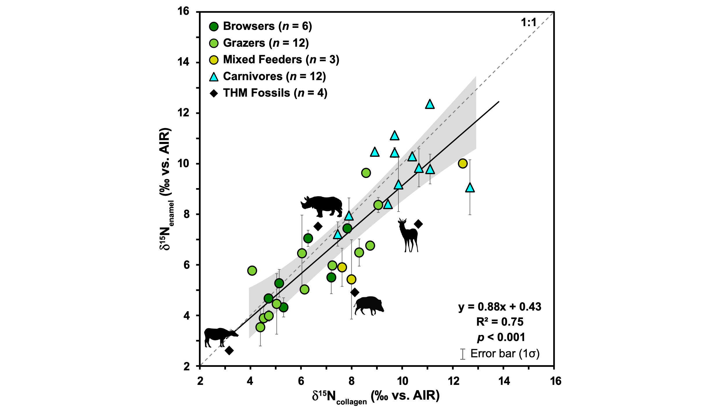 A scatterplot showing a positive association between enamel and collagen measurements of nitrogen stable isotopes.