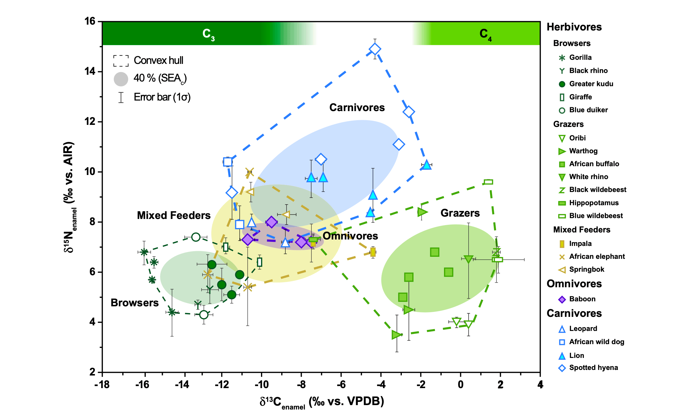 A scatterplot showing grazers with high carbon-13 and low nitrogen-15, carnivores with high nitrogen-15 and intermediate carbon-13, and browsers with low carbon-13 and low nitrogen-15.