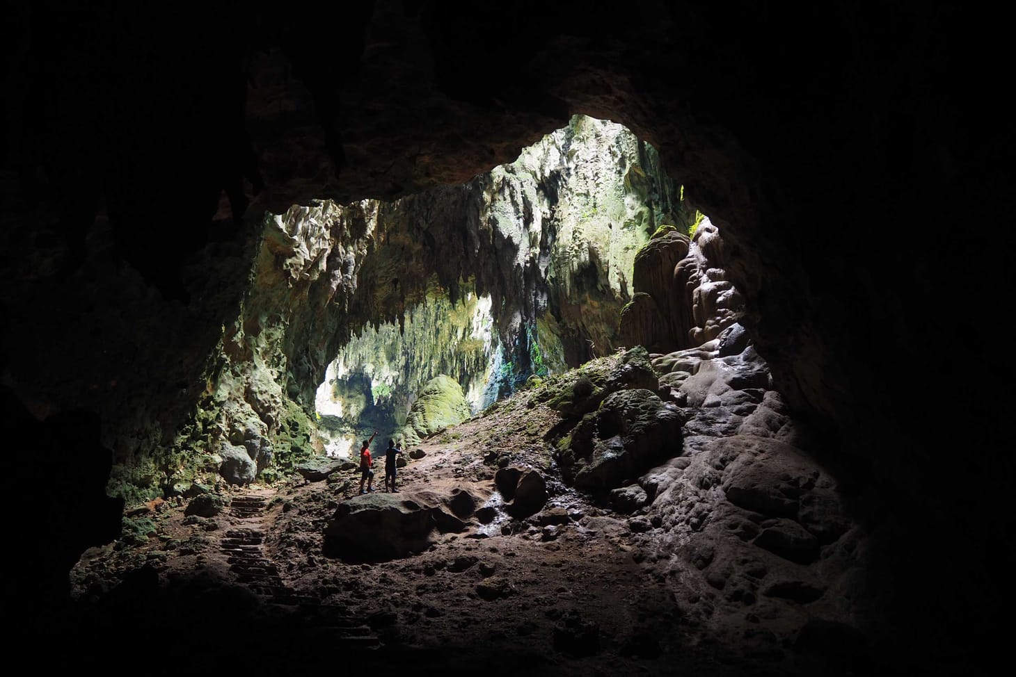 Julurens: a new cousin for Denisovans and Neanderthals